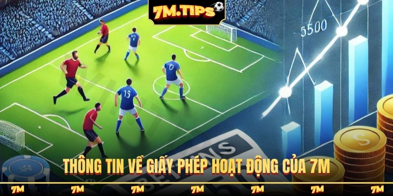 Thông tin về giấy phép hoạt động của 7M
