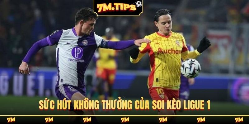 Sức hút không thưởng của soi kèo Ligue 1